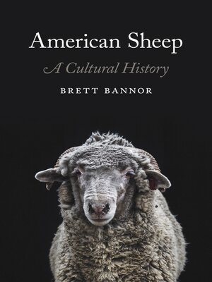 cover image of American Sheep